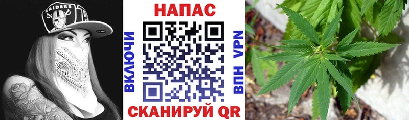 Бошки марихуана индика  Сухиничи 